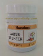 Hamdard, LABUB SAGHEER, 125g, Men's Health, Premature Ejaculation